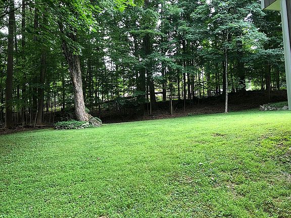Large, level back yard.