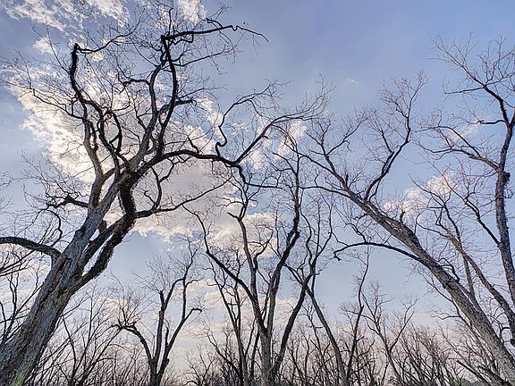 5th image of 10119 Springhill Rd