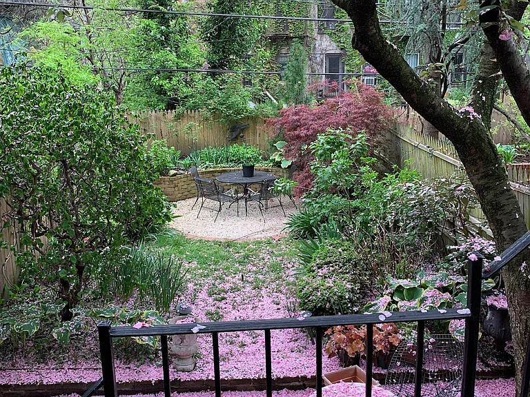 244 Wyckoff St #GARDEN — Photo 7
