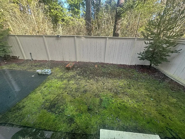 Fully fenced backyard with covered concrete patio