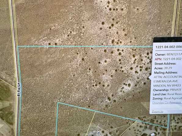 Lorraine Ln, Gardnerville, NV 89410
