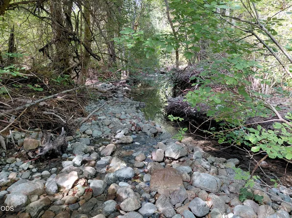 8595 Deer Creek Rd, Selma, OR 97538