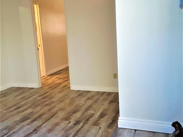 1337 Waterloo St #1/2 — Photo 2
