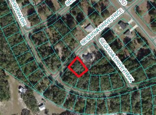 0 Sequoia Drive Trce #9, Ocklawaha, FL 32179