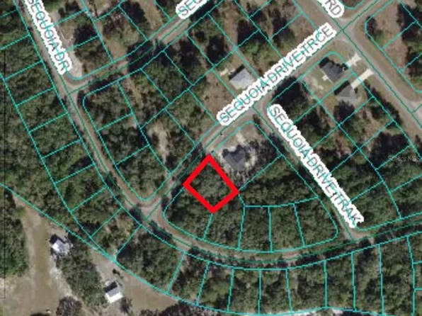 00 SEQUOIA DRIVE TRACE LOT 9, OCKLAWAHA, FL 32179