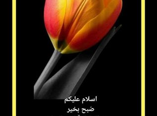 10108 Colvin Run Rd, Great Falls, VA 22066