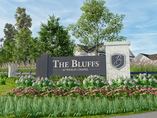 Homes Available Soon, The Bluffs at Wesley Chapel