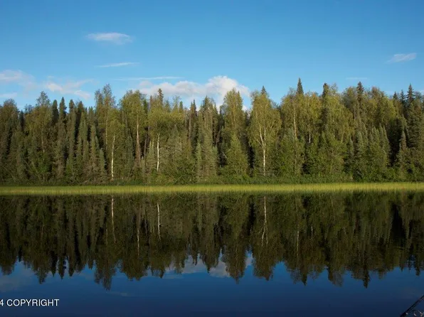 1 Town Rd #P, Willow, AK 99688