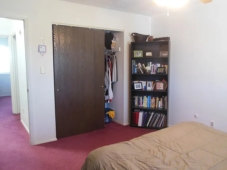 main bedroom closet 1