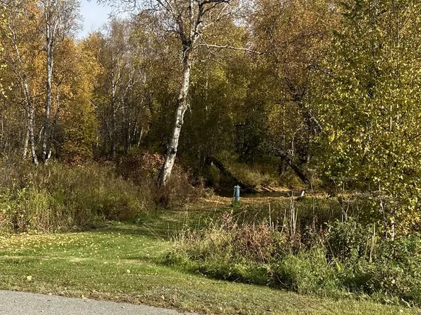 1970 N Creekwood Park Cir, Palmer, AK 99645