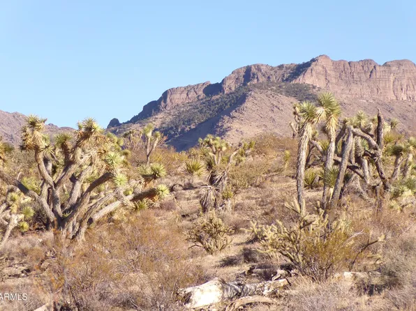 17096 N MANOR Drive #451, Dolan Springs, AZ 86441