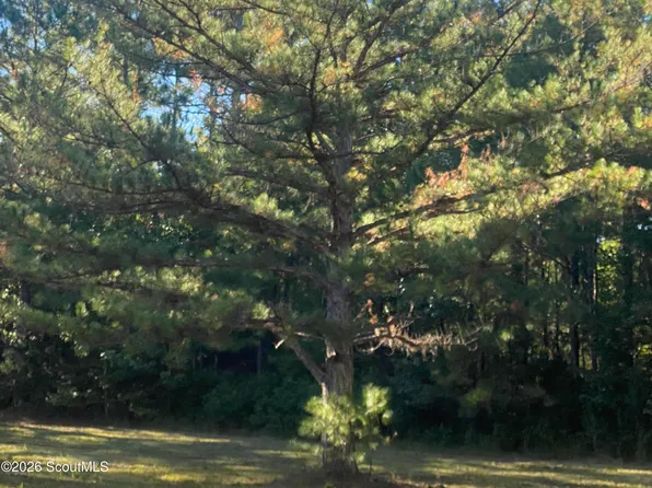 None Shellman Bluff Rd NE, Townsend, GA 31331