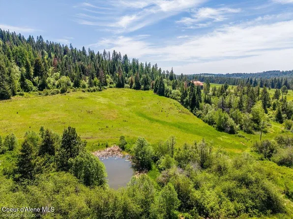 57 E Thimbleberry Ln, Plummer, ID 83851