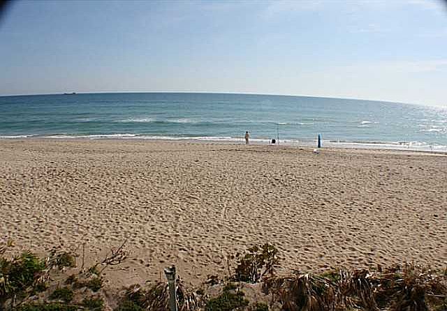 1st image of 10310 S Ocean Dr APT 204