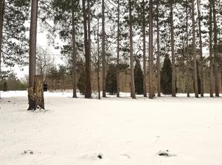 16301 Stanton St, West Olive, MI 49460