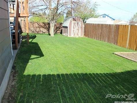 Backyard 2