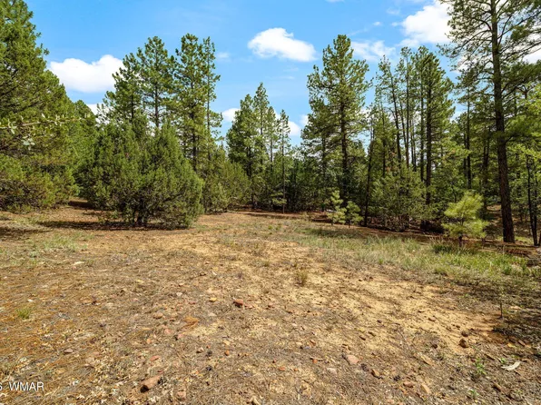 1060 S Hacienda Pines Dr, Show Low, AZ 85901
