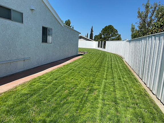 Side yard 