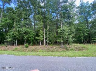 1 Crooked Creek Rd, Hampton, SC 29924