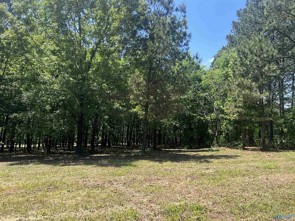 1st image of LOT 1 County Road 1009