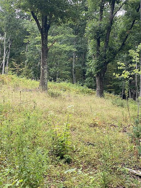 5th image of STATE ROUTE 295