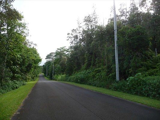 2nd image of N Hinalo St