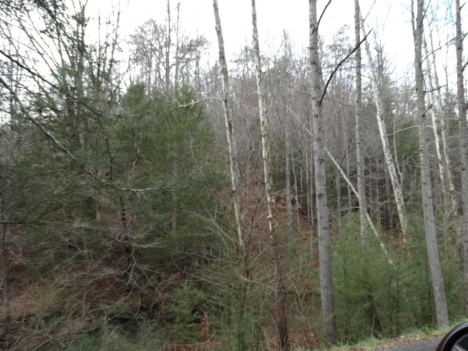 1st image of 1344 Ky Near Meadow Br