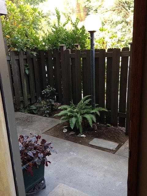 patio