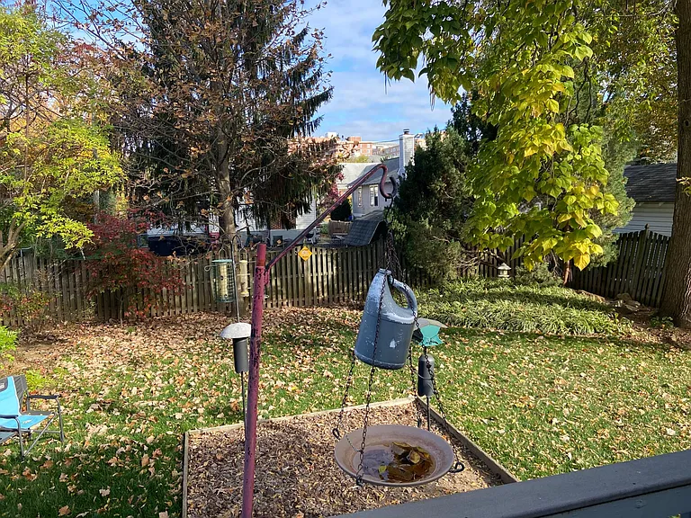 View from deck of yard