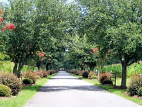 3rd image of 300 Harbour View Dr Lot 59
