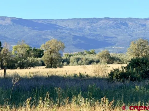 Lot 9 Lahabra Drive, Austin, CO 81410