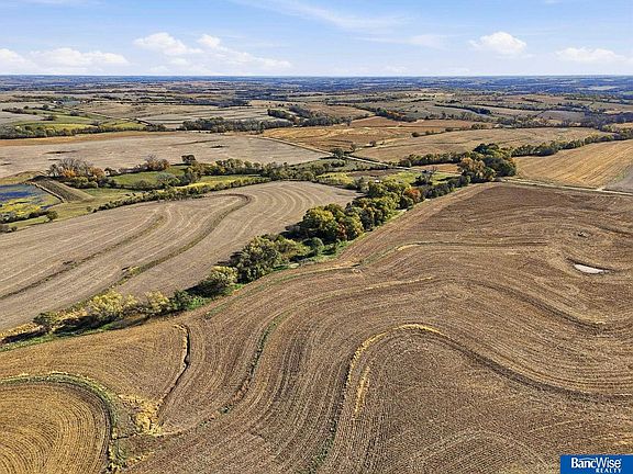 5th image of 210 Little Salt Rd