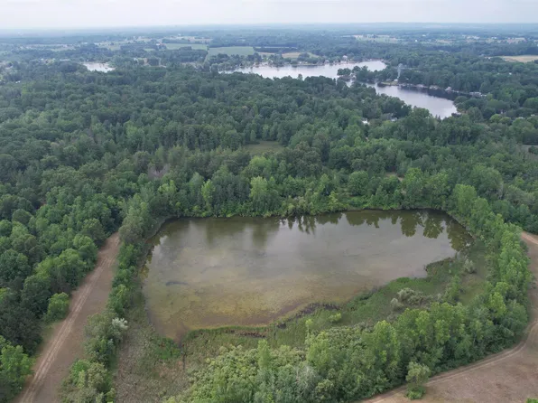 Lone Pne, Farwell, MI 48622