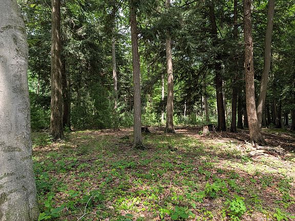 5th image of N Glen Wood Dr #1