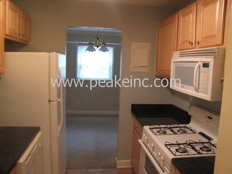 Kitchen pic 2
