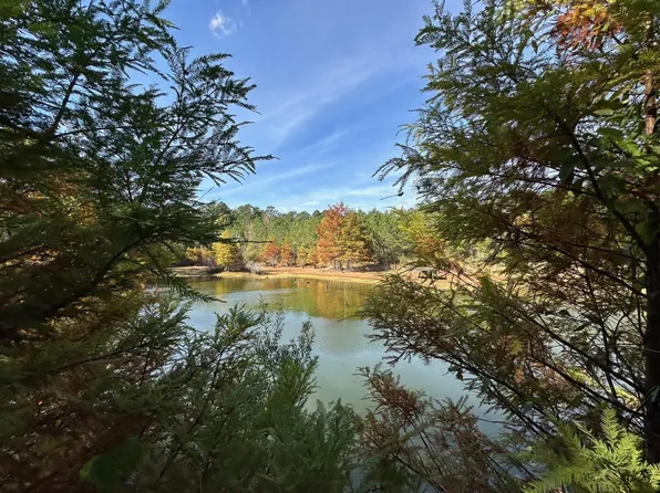 0 Decatur Conehatta Rd, Decatur, MS 39327