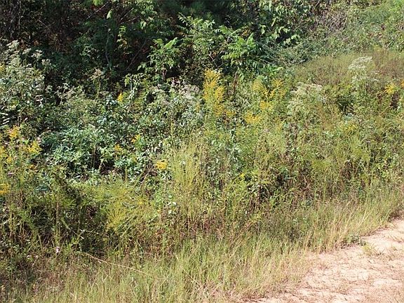 4th image of 413 Us Highway 78 W Lot 0