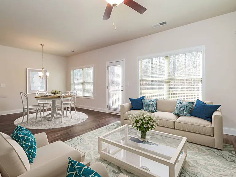 004-photo-living-room-10196492