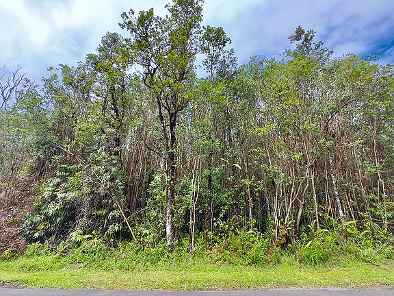 5th image of 11-3193 Lehua St Lot 7086