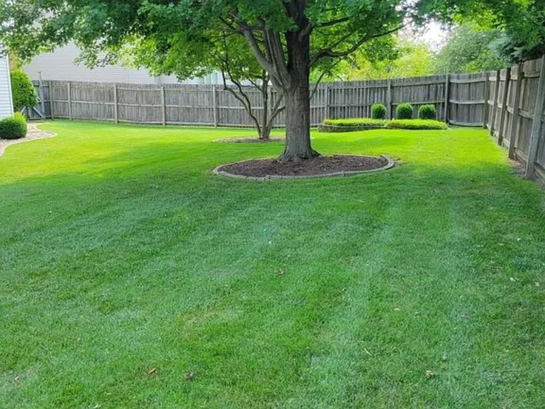 40 Hodgehaven Cir — Photo 7