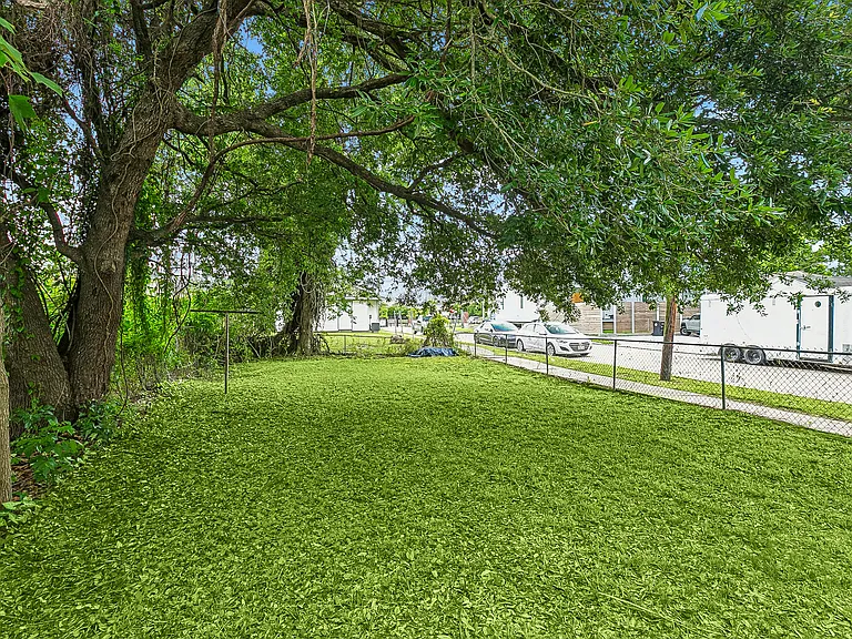 Backyard