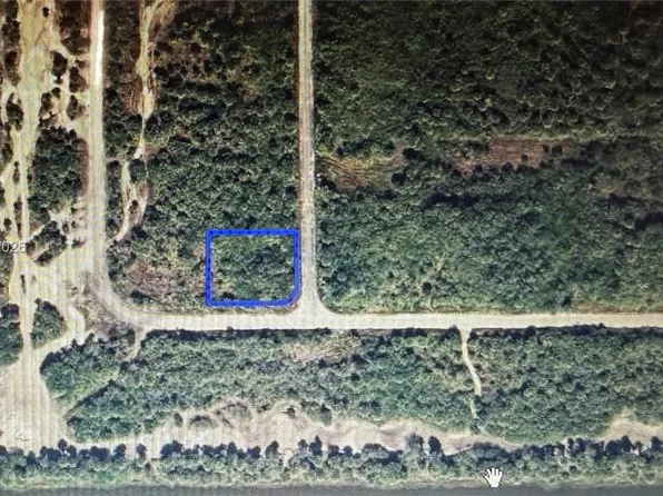 Merganser Street Sw & Slimtwig Ave, Palm Bay, FL 32908