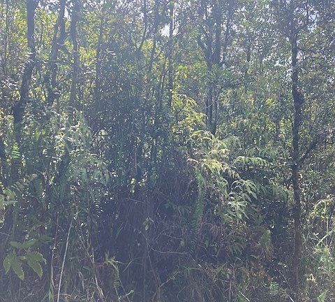 2nd image of Road 7 Opeapea Lot 4832