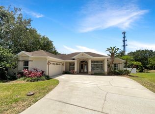 2513 Andrea Lynn Dr, Lutz, FL 33549