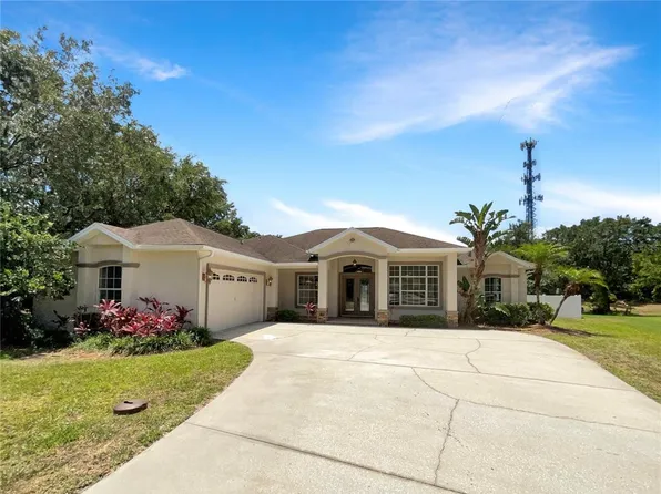 2513 Andrea Lynn Dr, Lutz, FL 33549