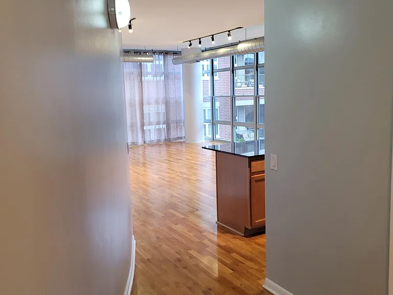 1200 W Monroe St #420 — Photo 36