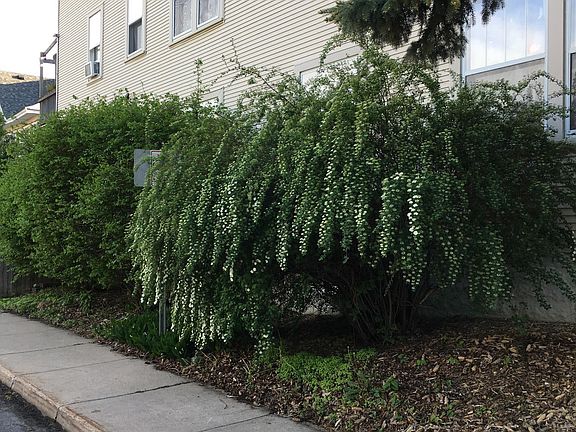 2nd image of 1728 Hague Ave APT 5