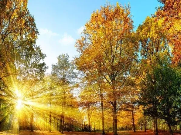 3195 Bridgewater Cv, Owensboro, KY 42303