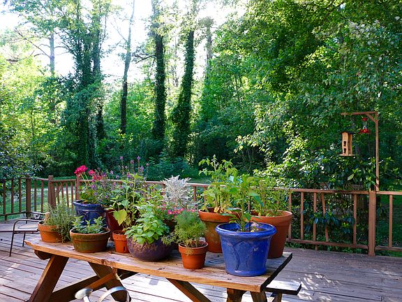 Inviting Back Patio
