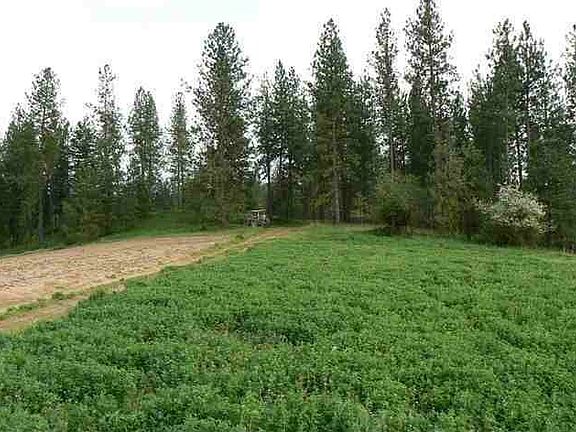 3rd image of 13014 E Mt Spokane Park Dr